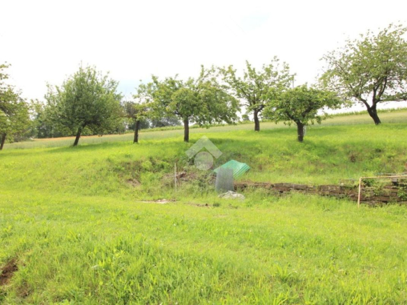 Dom z ponad 2 hektarami ziemi w Monastero Bormida – Piemont